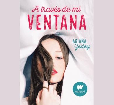 A TRAVES DE MI VENTANA